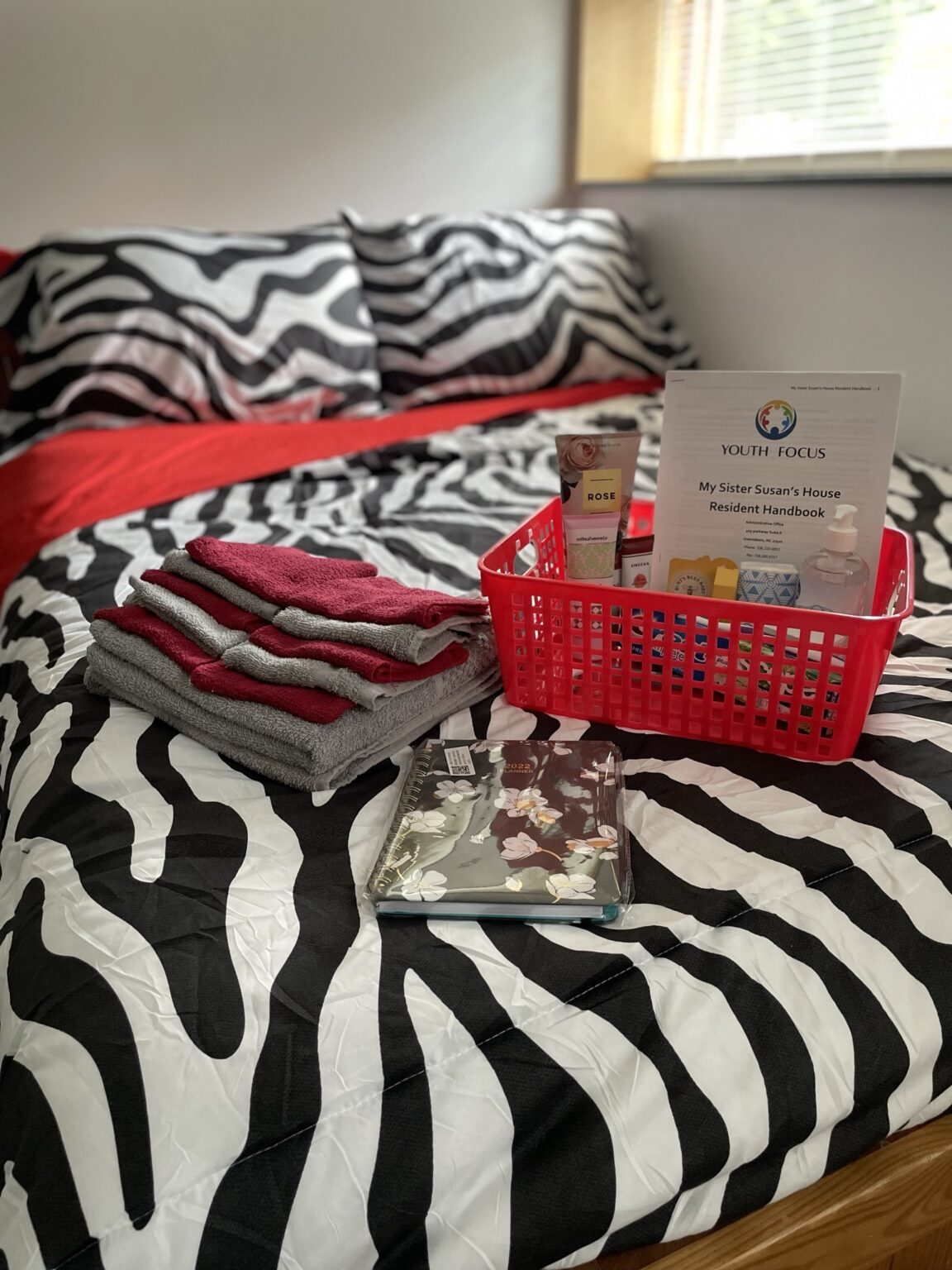 My Sister Susan’s House A Lifeline for Mothers Alexander Youth Network